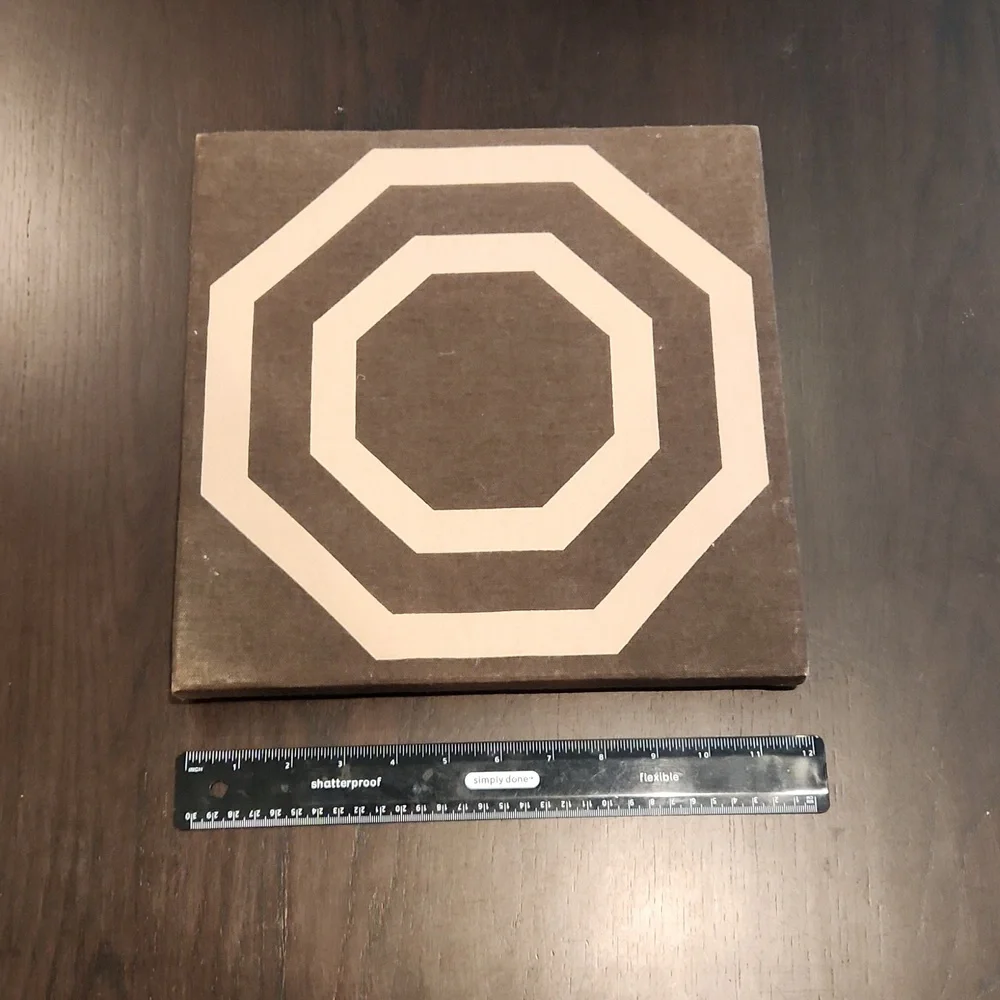 West Elm Double Octagon Decorative 12x12 Wall Art